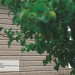 Сайдинг Ю-Пласт TIMBERBLOCK Пихта (Тимберблок) Cахалинская купить в Кинешме