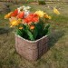 Цветник КАНЬОН купить в Кинешме