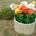 Цветник КАНЬОН купить в Кинешме
